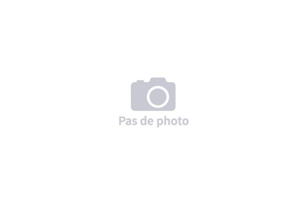 Mémoire. Demain, 24 avril double commémoration. #plusjamaisça